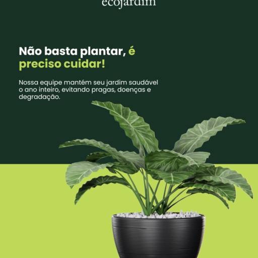 Tratamento e Nutrição de Plantas – Crescimento Saudável e Sustentável no Ninho Verde II Eco Residence