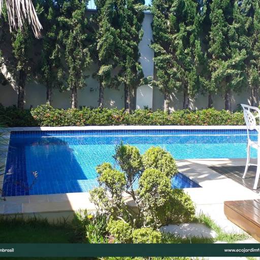 Manutenção de Piscina – Água Cristalina e Segura no Ninho Verde II Eco Residence