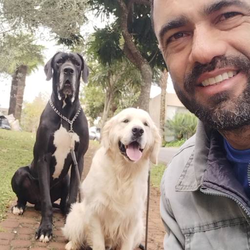 Obediência e Controle de Ansiedade – Comportamento calmo e disciplinado – Belo Horizonte por Luiz Adestramento de Cães