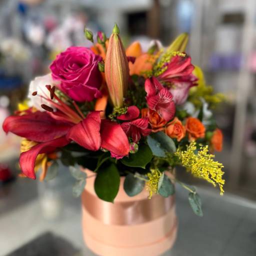 Box Diversos  por Floricultura Diacuí