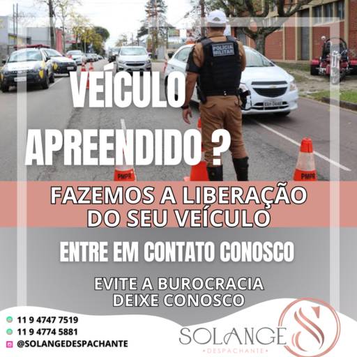 Liberação de Veículo Apreendido com Agilidade – Ninho Verde II Eco Residence, SP