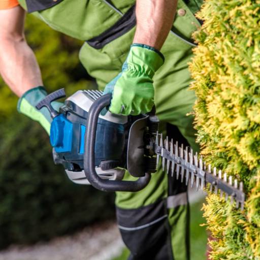 Limpeza de Terrenos  por Carlos Melo Instalações e reparos