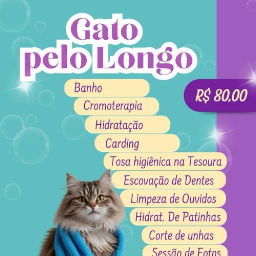 Gato pelo longo  por Valentina´s Pet Store