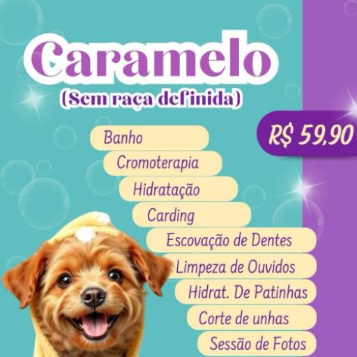 Banho e tosa Caramelo por Valentina´s Pet Store