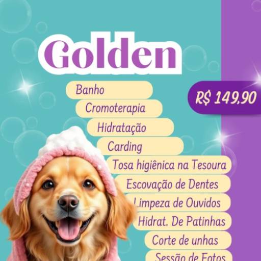 Golden Retriever  por Valentina´s Pet Store