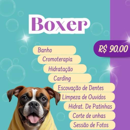 Boxer por Valentina´s Pet Store
