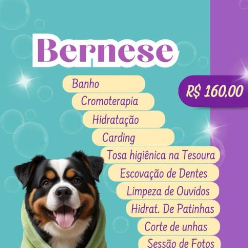 Bernese por Valentina´s Pet Store