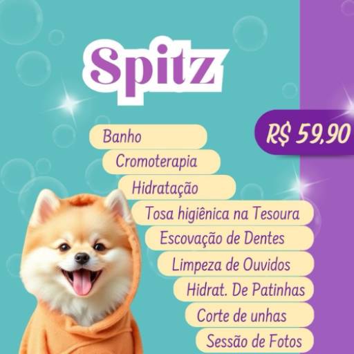 Spitz por Valentina´s Pet Store