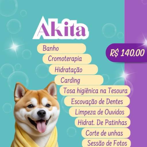 Akita por Valentina´s Pet Store