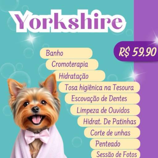 Yorkshire por Valentina´s Pet Store