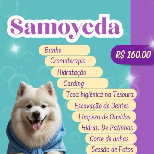 Samoyeda por Valentina´s Pet Store