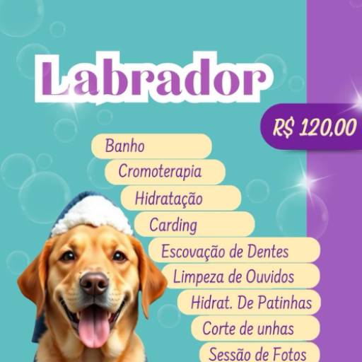 Labrador por Valentina´s Pet Store