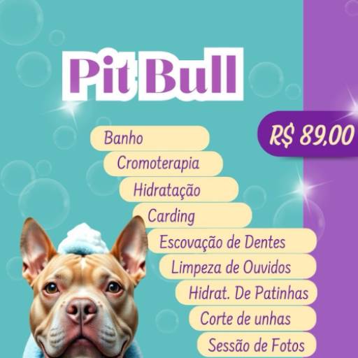 Pit Bull por Valentina´s Pet Store
