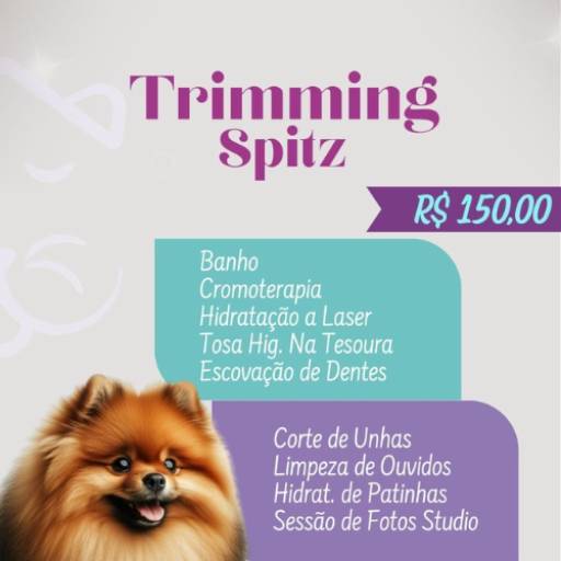 Trimming Spitz por Valentina´s Pet Store