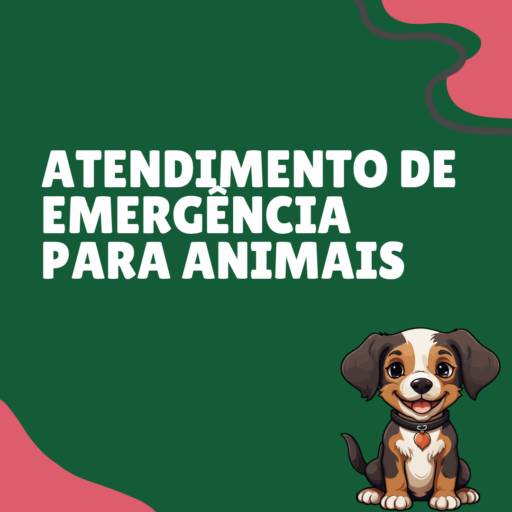 atendimento de emergência para animais em Itapetininga