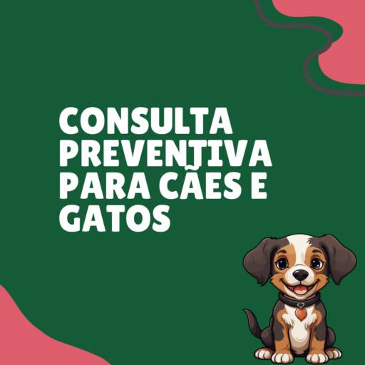 consulta preventiva para cães e gatos em Itapetininga