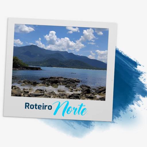 Roteiro Norte • R$1.400,00 