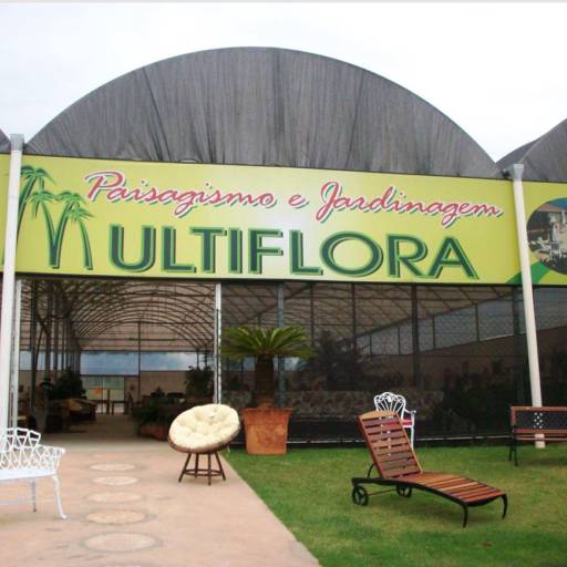 Plantas para Paisagismo e Jardinagem em Santa Bárbara