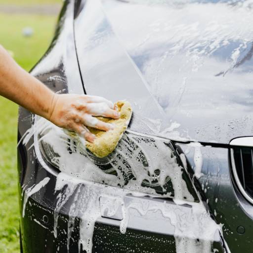 Comprar o produto de Lavagem Completa Carro Pequeno em Santa Cruz do Rio Pardo em Estética automotiva pela empresa Lava Car Du Poli em Santa Cruz do Rio Pardo, SP por Solutudo