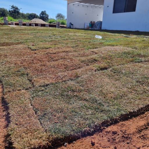 Projeto de Paisagismo no Santa Bárbara Resort Residence – Natureza Integrada com Estilo por Live Art