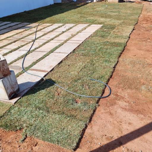 Projeto de Paisagismo no Santa Bárbara Resort Residence – Natureza Integrada com Estilo por Live Art