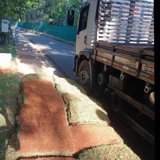 Projeto de Paisagismo no Santa Bárbara Resort Residence – Natureza Integrada com Estilo por Live Art