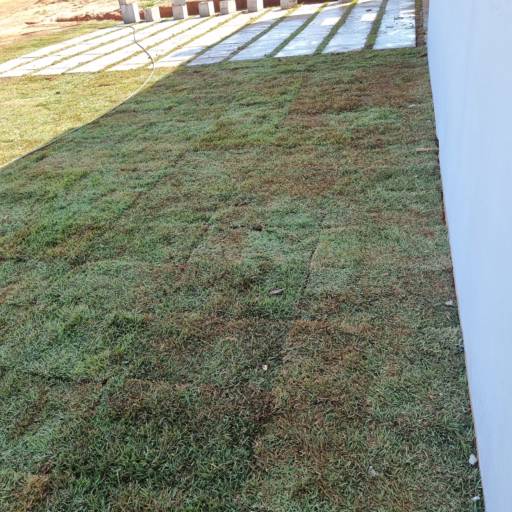 Projeto de Paisagismo no Santa Bárbara Resort Residence – Natureza Integrada com Estilo por Live Art