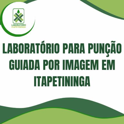 laboratório para punção guiada por imagem em Itapetininga