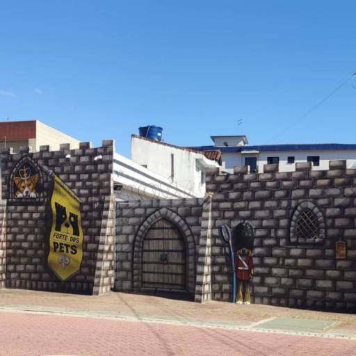 Unidade Castelo – Onde Tudo Começou com Amor por Forte dos Pets Praia Grande