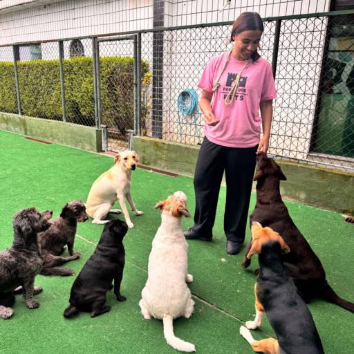 Unidade Castelo – Onde Tudo Começou com Amor por Forte dos Pets Praia Grande