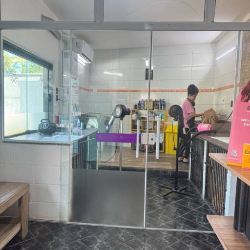 Unidade Castelo – Onde Tudo Começou com Amor por Forte dos Pets Praia Grande