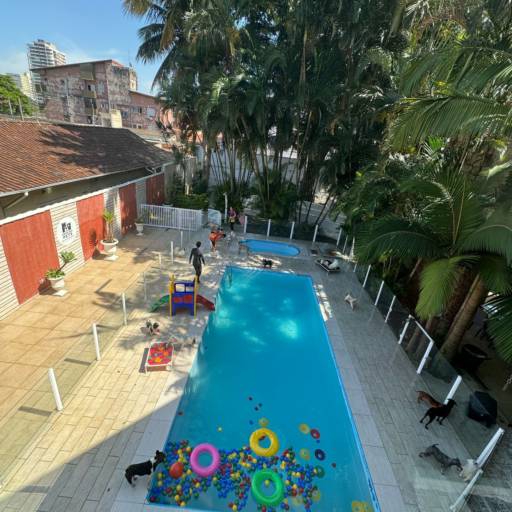 Unidade Resort – Um Refúgio Encantado para os Pequenos por Forte dos Pets Praia Grande