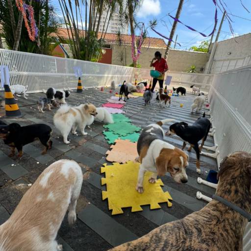 Unidade Resort – Um Refúgio Encantado para os Pequenos por Forte dos Pets Praia Grande