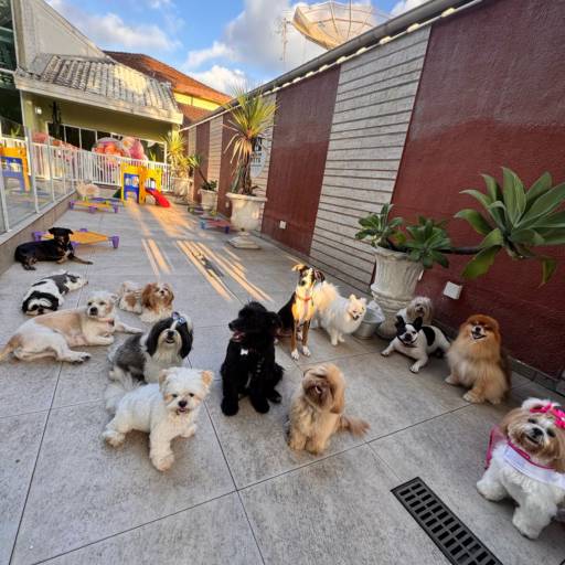 Unidade Resort – Um Refúgio Encantado para os Pequenos por Forte dos Pets Praia Grande