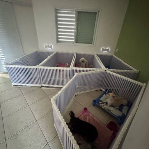 Unidade Resort – Um Refúgio Encantado para os Pequenos por Forte dos Pets Praia Grande