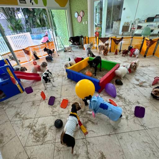 Unidade Resort – Um Refúgio Encantado para os Pequenos por Forte dos Pets Praia Grande