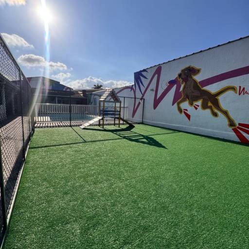 Unidade Club – Conexão, Movimento e Diversão em Família por Forte dos Pets Praia Grande