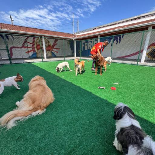Unidade Club – Conexão, Movimento e Diversão em Família por Forte dos Pets Praia Grande