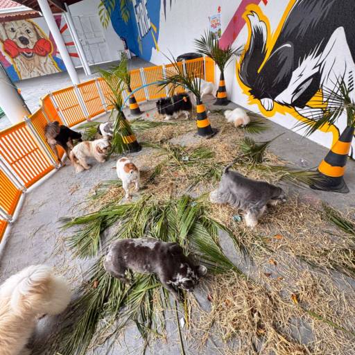 Unidade Club – Conexão, Movimento e Diversão em Família por Forte dos Pets Praia Grande