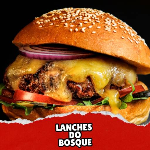 Lanches Gourmet 