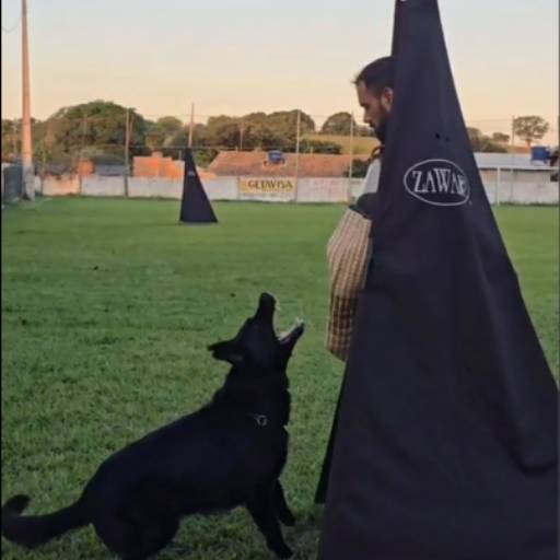 Esporte com Cães (IGP) em Belo Horizonte – Treinamento com Disciplina e Diversão por Luiz Adestramento de Cães