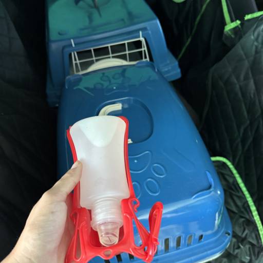 Transportes Pet Longa Distância em Joinville com Segurança por CãoMiada | Serviços Pet