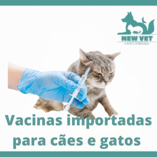 Vacinas importadas para cães e gatos em Itapetininga