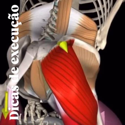 Dica de Execução Kettlebell Swing em São Manuel