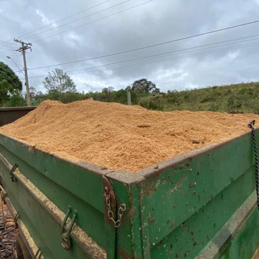 Venda de Pó de Serra a Granel em Ninho Verde II, SP por Eldorado Madeiras