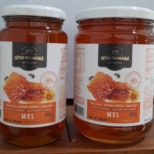 Mel Silvestre SÍTIO PALMARÁ 450 g / 800 g  em São Manuel, SP por Empório Oliveira