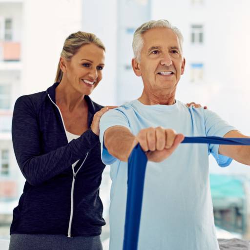 Fisioterapia Geriátrica 