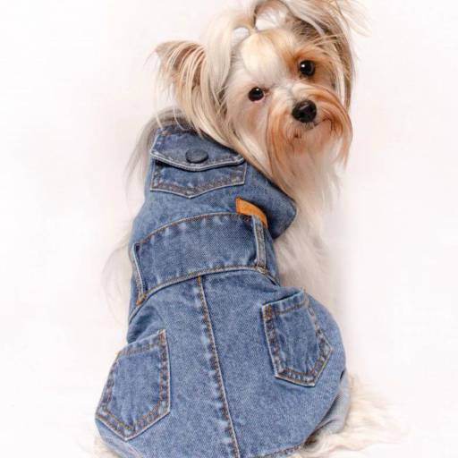 Nossa Loja por Valentina´s Pet Store