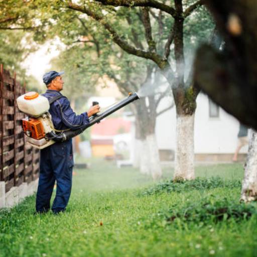 Controle de Mosquitos Eficiente – BCP em Barueri, SP por BCP DEDETIZADORA E DESENTUPIDORA