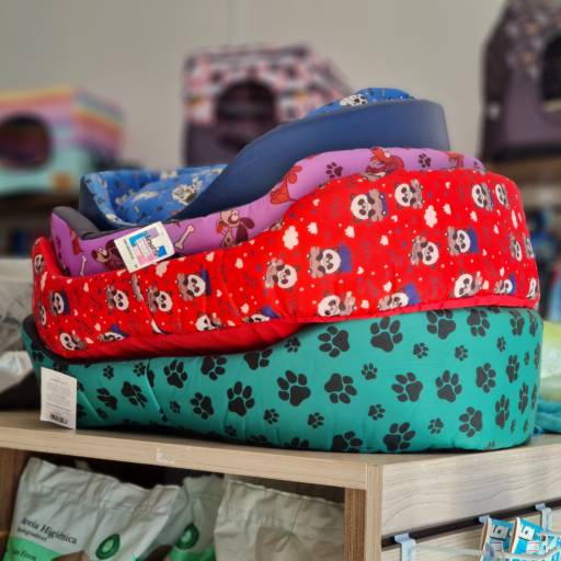 Mais Conforto e Saúde – Cama para Cachorro Antialérgica em Itatinga